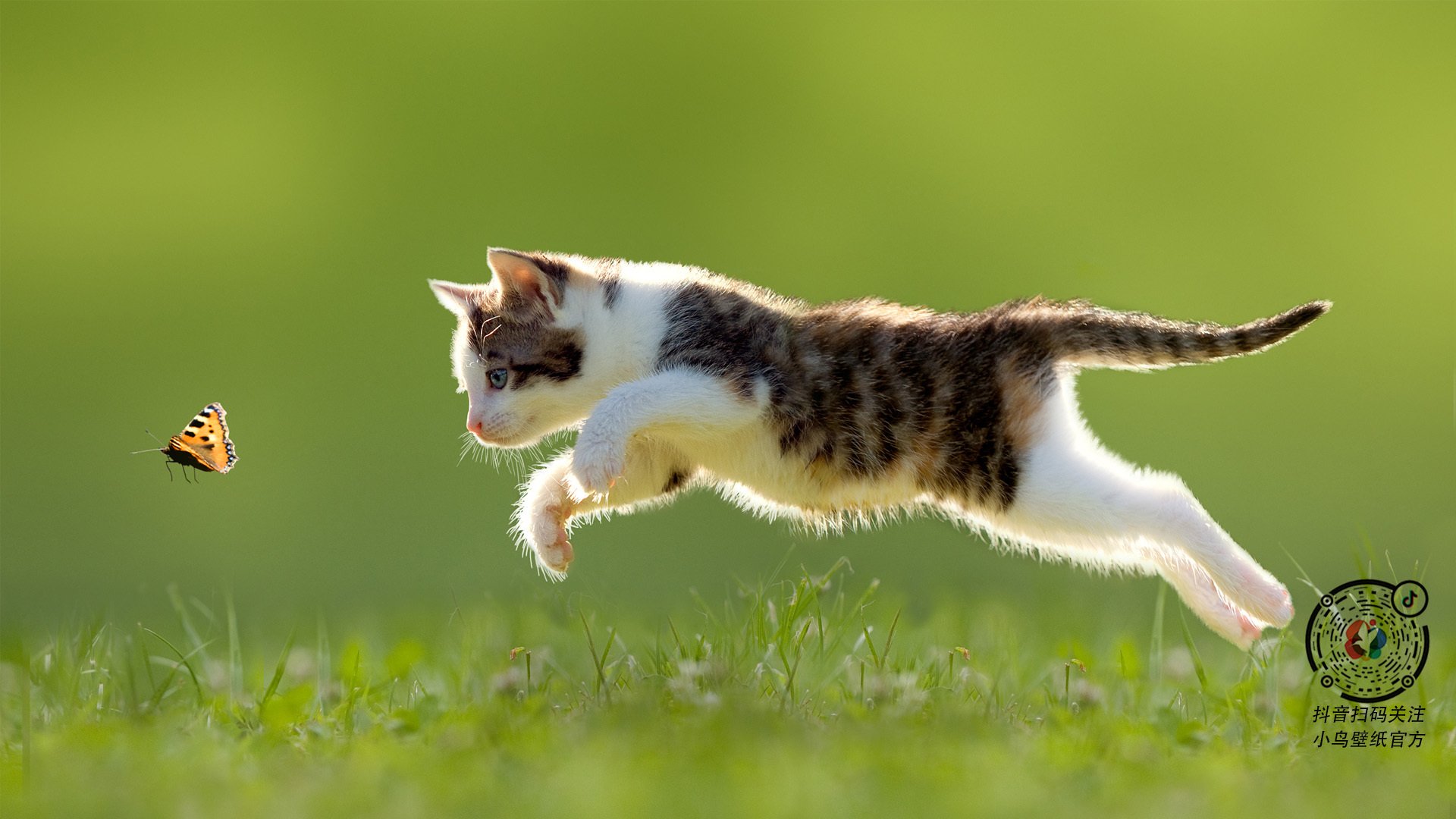 开云网页版-“年轻力量崛起！新秀们用表现证明自己”，nba年轻新秀