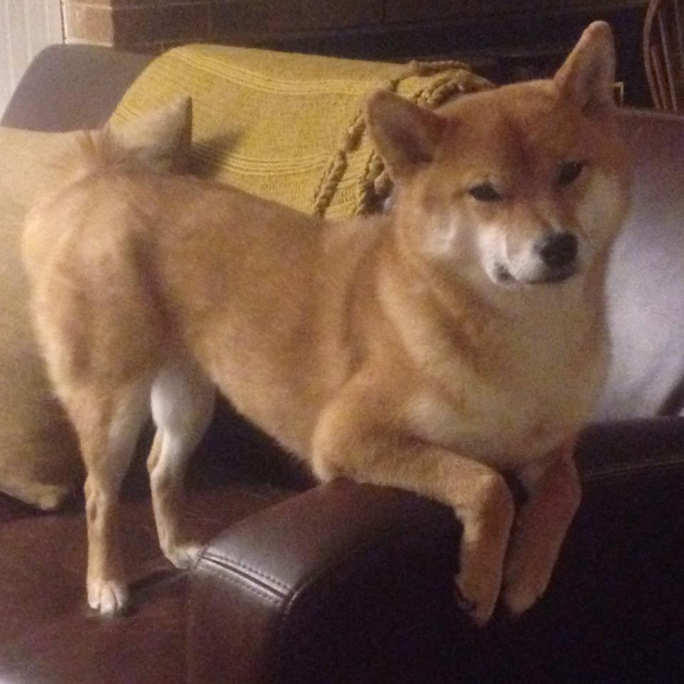 开云网页版-“德国梦之队状态火热，迎战重要赛事”，德国梦幻