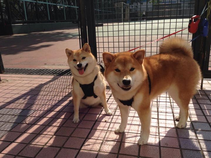 开云体育官方app-“英超争冠大战:悬念持续,冠军归属未定”,英超争冠2021