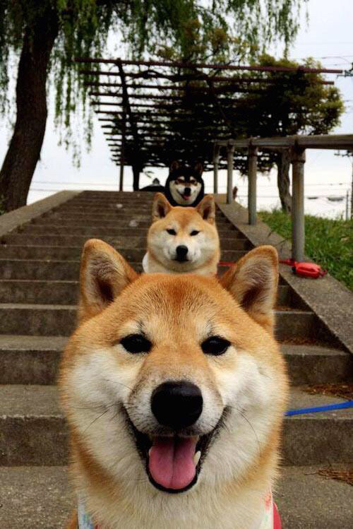 开云APP下载-亚洲足球洲际盛事即将拉开帷幕，全球瞩目，亚洲足球赛事