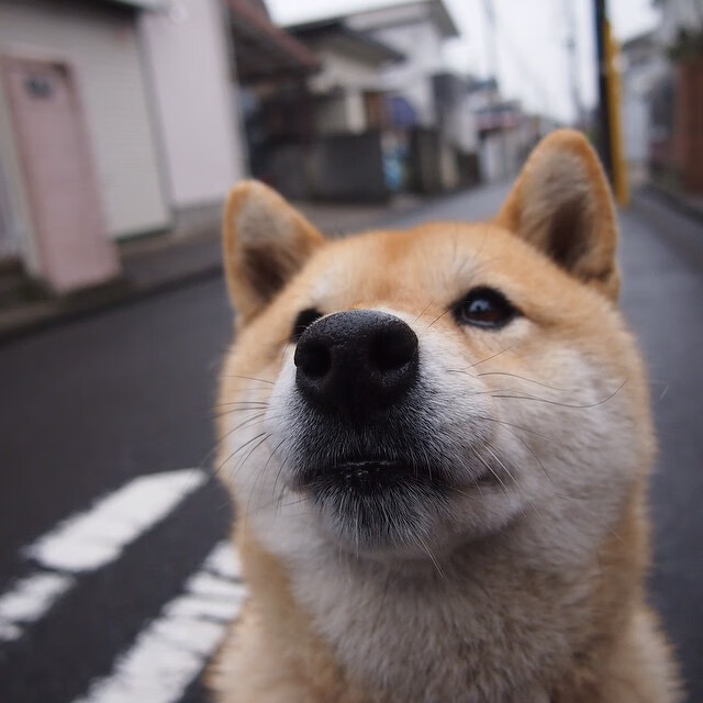 开云下载-中国青少年足球裁判员培训体系全面升级，足球裁判培训视频