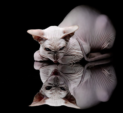 kaiyun app-德甲深度剖析，比赛中的战术变化有效提升了场上控制力，德甲比赛规则