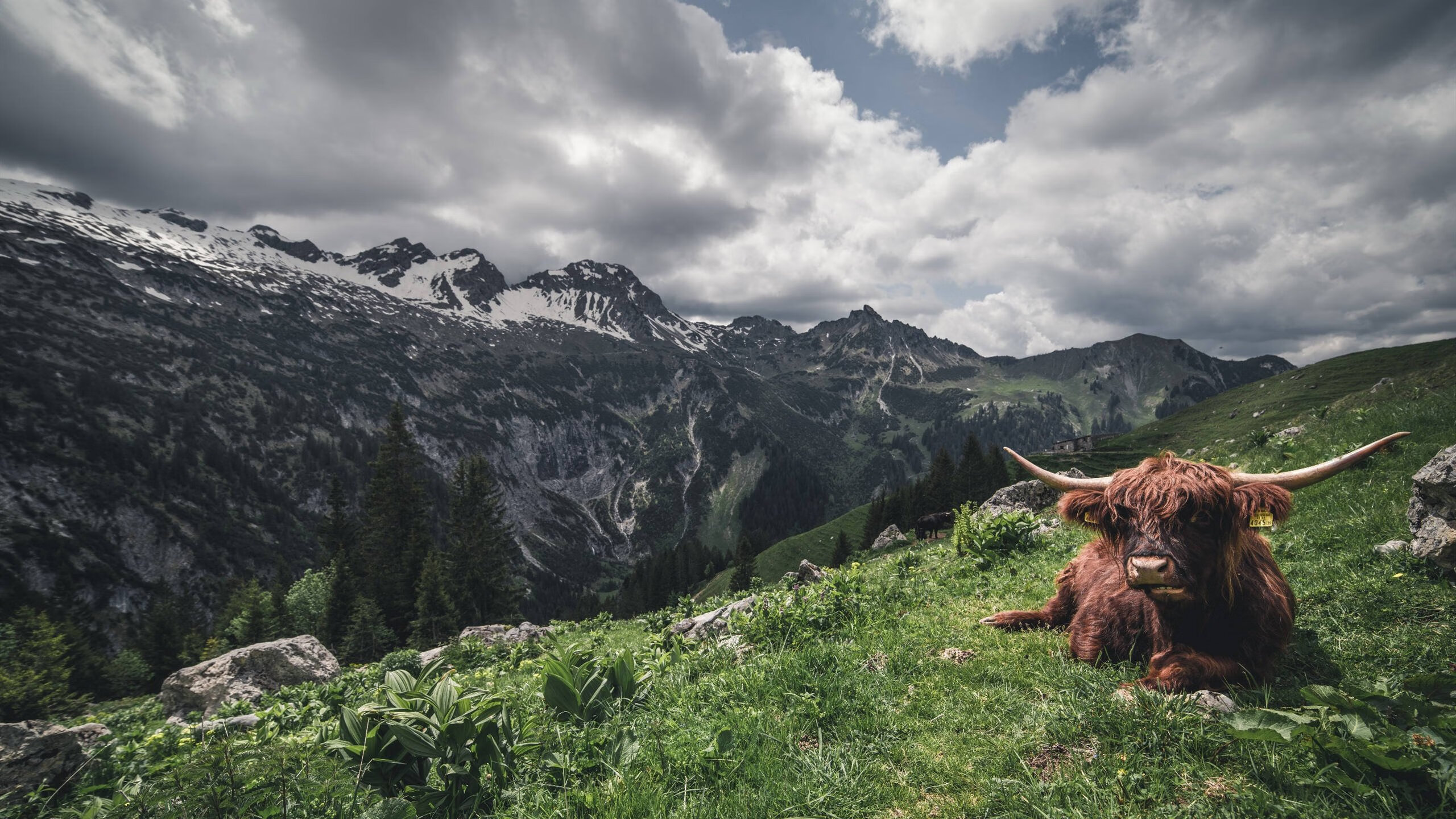 开云体育app安全下载-篮球职业联赛赛程科学调整提高竞技水平，篮球职业联赛赛程科学调整提高竞技水平的措施