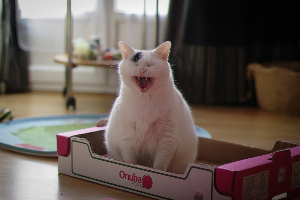 开云体育首页-青少年足球学校特色课程逐步推行,培养多元化足球人才,青少年足球教学原则