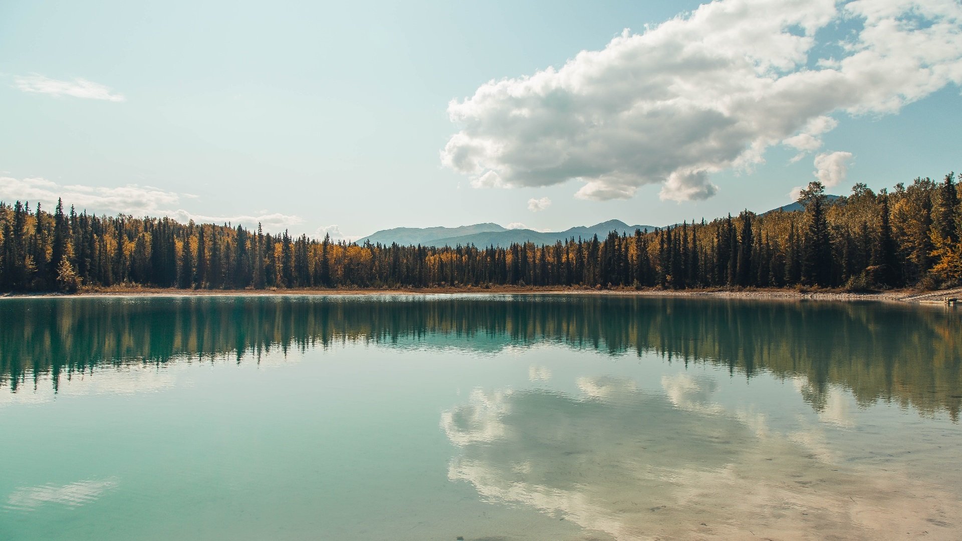 开云体育官方app-F1赛季总决赛落幕，红牛车队包揽冠亚，f1中的红牛车队是哪个国家的