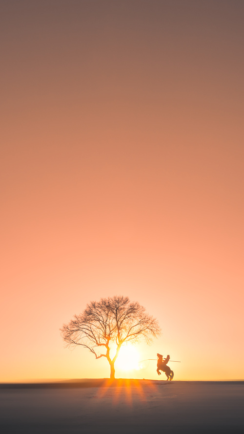 开云体育客户端-荷兰队在足球比赛中创造惊人战绩,总结一下荷兰足球