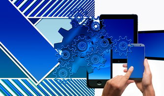 开云网页版-中国篮球联赛品牌建设及粉丝经济研究，国内篮球职业联赛