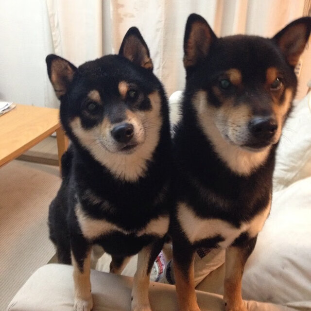 开云在线-“2025世界运动会滑轮赛:新生选手能否逆袭?”