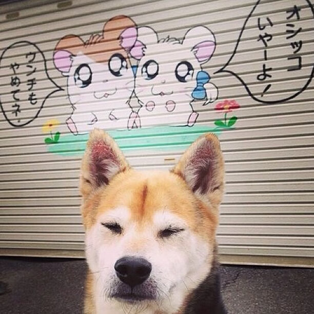 开云在线-“2025世界运动会滑轮赛:新生选手能否逆袭?”